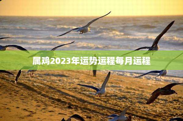 属鸡2023年运势运程每月运程