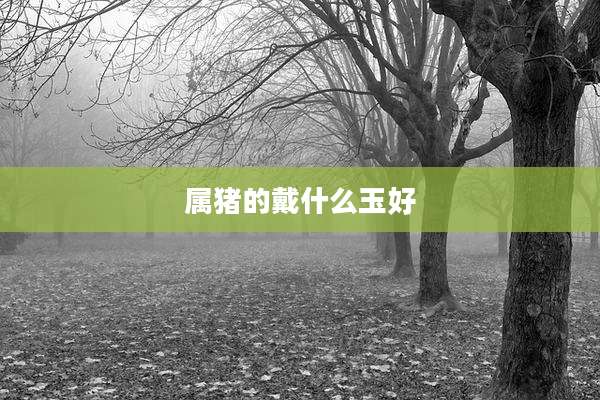 属猪的戴什么玉好