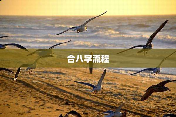 合八字流程