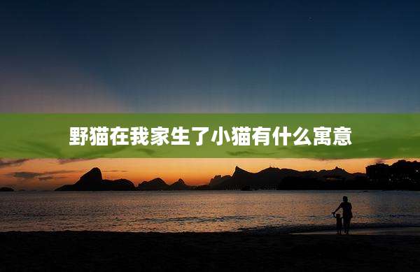 野猫在我家生了小猫有什么寓意