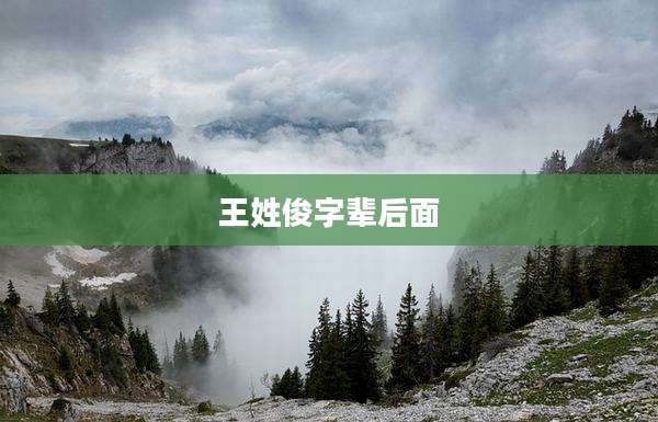 王姓俊字辈后面