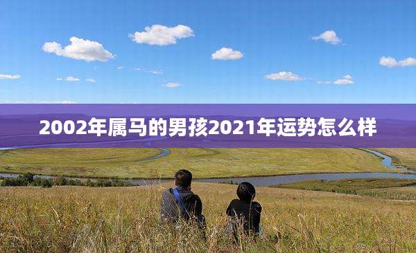 2002年属马的男孩2021年运势怎么样