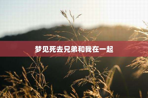 梦见死去兄弟和我在一起