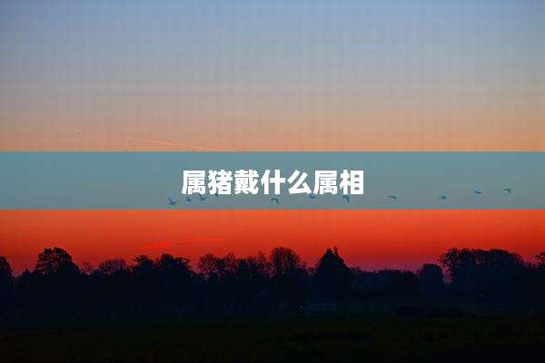 属猪戴什么属相