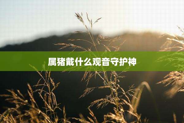 属猪戴什么观音守护神