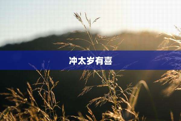 冲太岁有喜