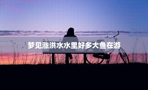 梦见涨洪水水里好多大鱼在游