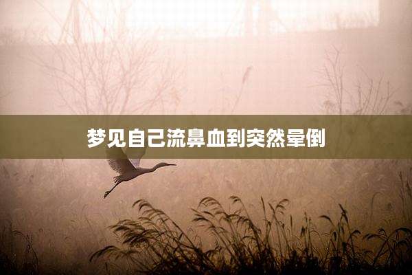 梦见自己流鼻血到突然晕倒
