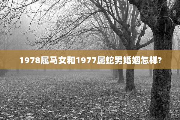 1978属马女和1977属蛇男婚姻怎样?