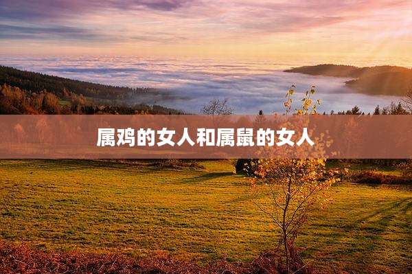 属鸡的女人和属鼠的女人