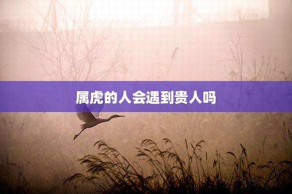 属虎的人会遇到贵人吗
