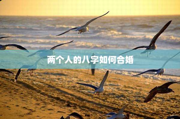 两个人的八字如何合婚