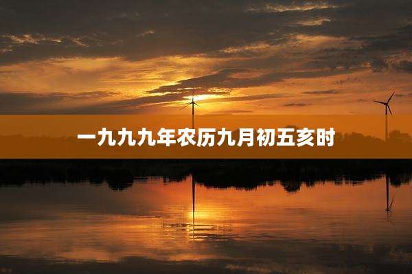 一九九九年农历九月初五亥时