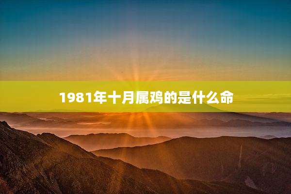 1981年十月属鸡的是什么命