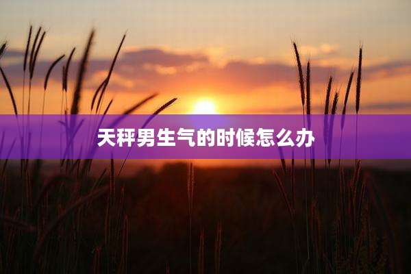 天秤男生气的时候怎么办