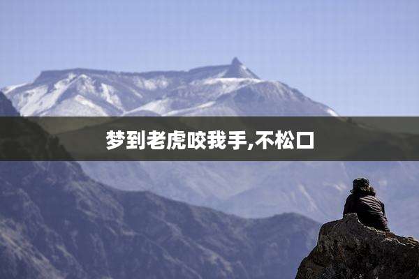 梦到老虎咬我手,不松口