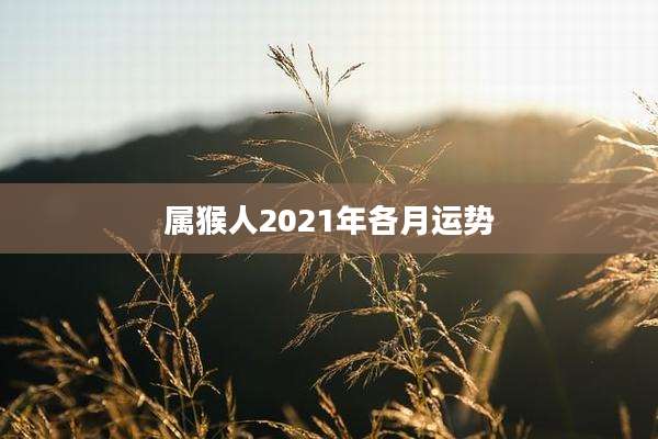 属猴人2021年各月运势