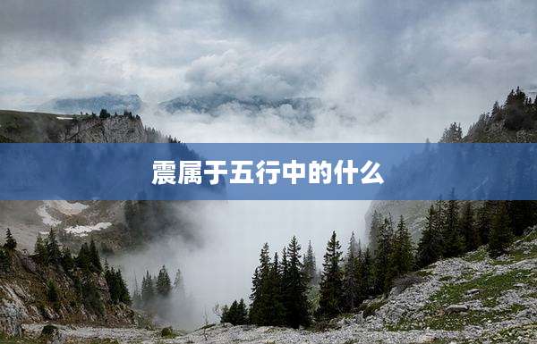 震属于五行中的什么