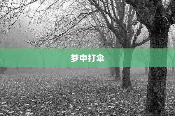 梦中打伞