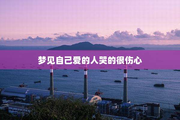 梦见自己爱的人哭的很伤心