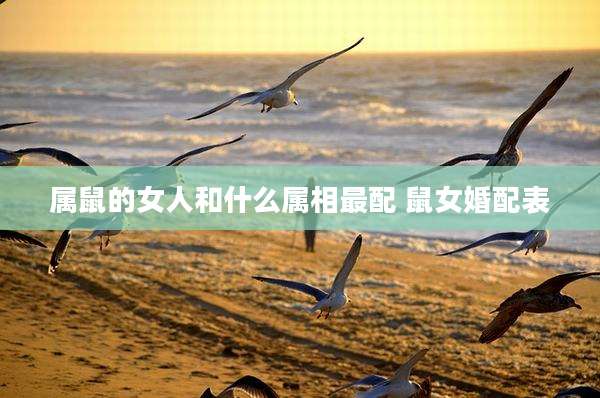 属鼠的女人和什么属相最配 鼠女婚配表