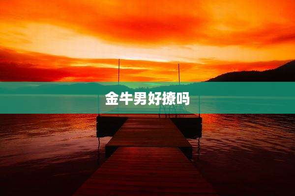 金牛男好撩吗