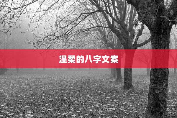 温柔的八字文案
