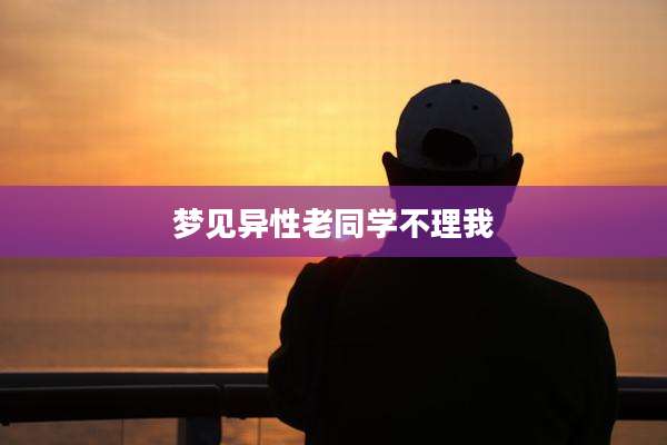 梦见异性老同学不理我
