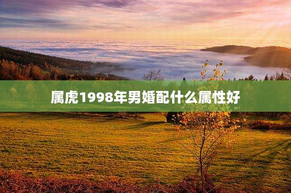 属虎1998年男婚配什么属性好