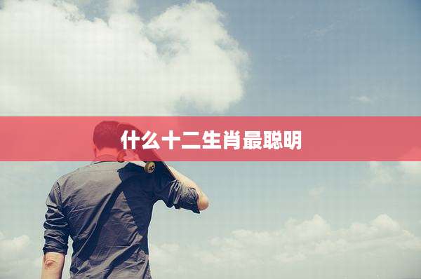 什么十二生肖最聪明