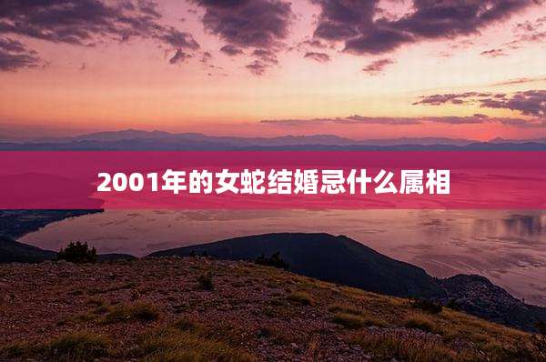 2001年的女蛇结婚忌什么属相