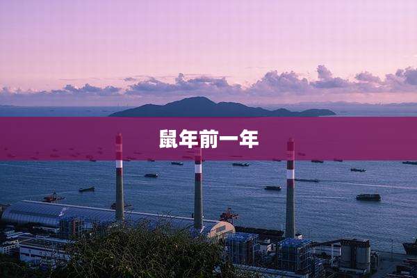 鼠年前一年