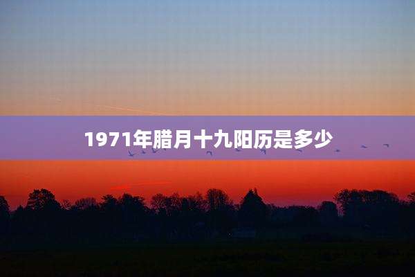 1971年腊月十九阳历是多少