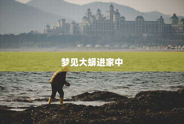 梦见大蟒进家中