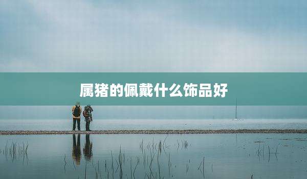 属猪的佩戴什么饰品好