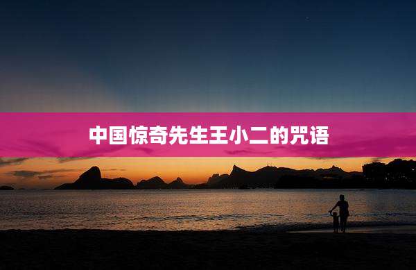 中国惊奇先生王小二的咒语