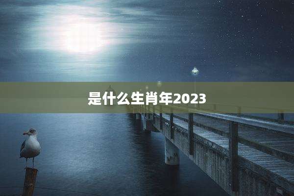 是什么生肖年2023