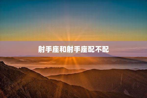 射手座和射手座配不配