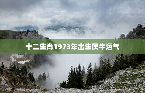十二生肖1973年出生属牛运气