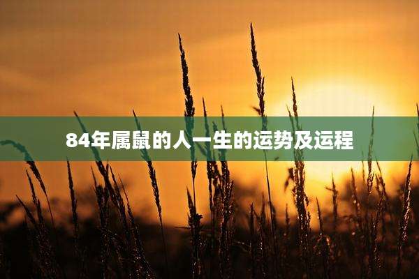 84年属鼠的人一生的运势及运程