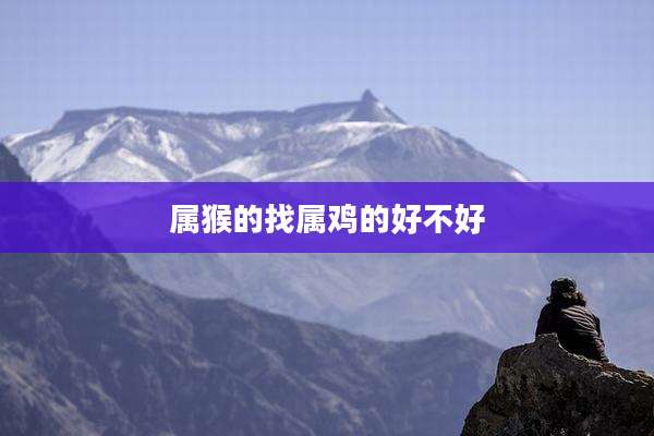 属猴的找属鸡的好不好