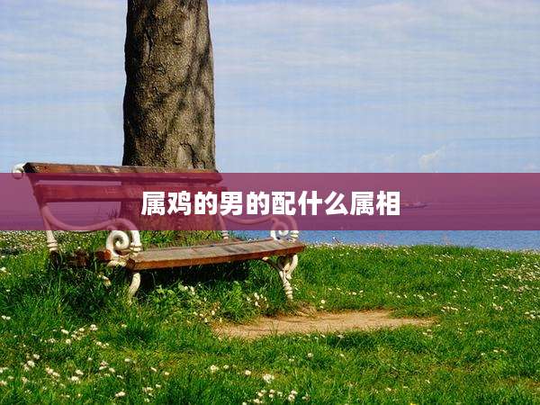 属鸡的男的配什么属相