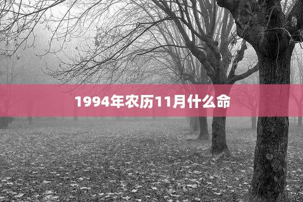 1994年农历11月什么命