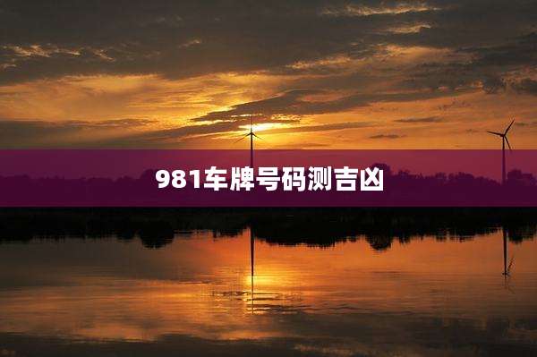 981车牌号码测吉凶