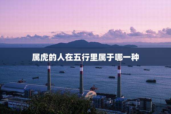 属虎的人在五行里属于哪一种