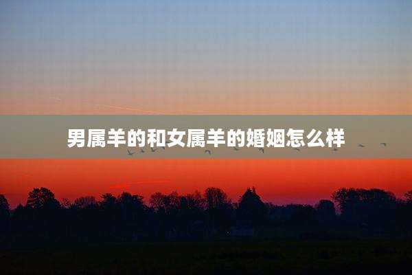 男属羊的和女属羊的婚姻怎么样