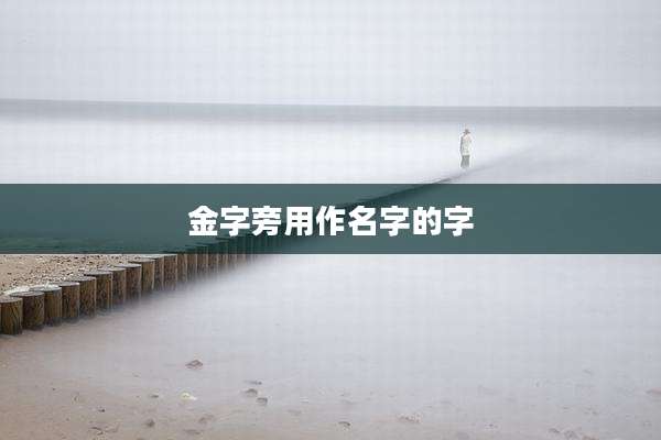 金字旁用作名字的字