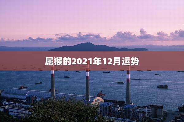 属猴的2021年12月运势