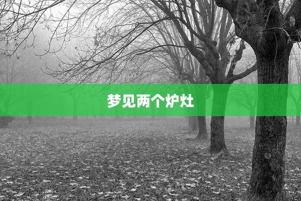 梦见两个炉灶