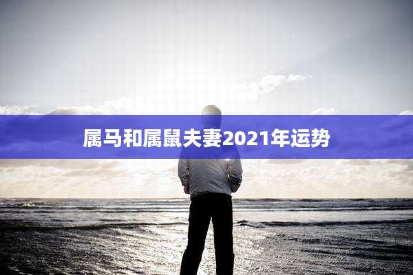 属马和属鼠夫妻2021年运势